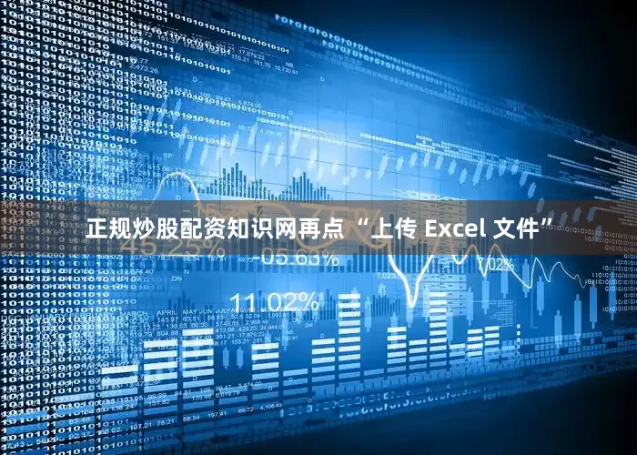 正规炒股配资知识网再点 “上传 Excel 文件”