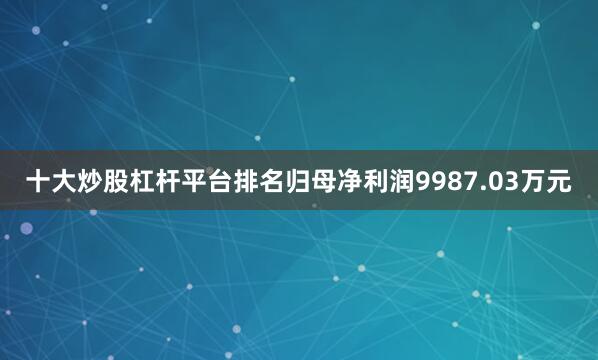 十大炒股杠杆平台排名归母净利润9987.03万元